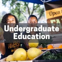 Undergraduate Education